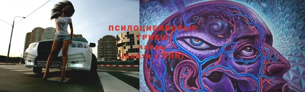 индика Алзамай