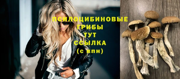 индика Алзамай