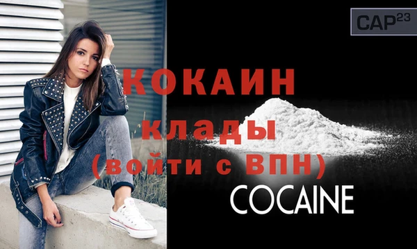индика Алзамай