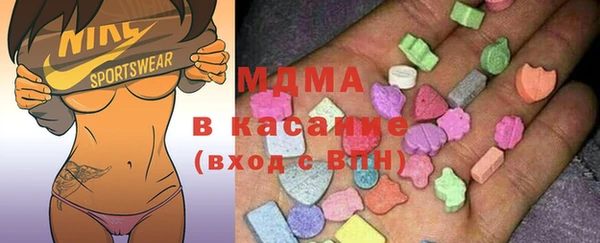 индика Алзамай